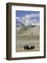 American Bison (Bison Bison)-Richard Maschmeyer-Framed Photographic Print