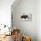 American Bison Cow with Calf-Hal Beral-Stretched Canvas displayed on a wall