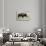 American Bison Cow with Calf-Hal Beral-Stretched Canvas displayed on a wall