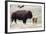 American Bison Cow with Calf-Hal Beral-Framed Photographic Print