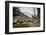 American Bison Herd Grazing in Yellowstone National Park-Paul Souders-Framed Photographic Print