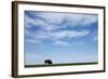 American Bison in Badlands National Park-Paul Souders-Framed Photographic Print