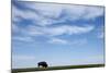 American Bison in Badlands National Park-Paul Souders-Mounted Photographic Print