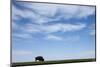 American Bison in Badlands National Park-Paul Souders-Mounted Photographic Print