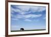 American Bison in Badlands National Park-Paul Souders-Framed Photographic Print