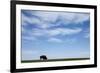 American Bison in Badlands National Park-Paul Souders-Framed Photographic Print