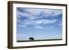 American Bison in Badlands National Park-Paul Souders-Framed Photographic Print