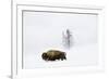 American bison in deep snow, Yellowstone, Wyoming, USA-Nick Garbutt-Framed Photographic Print