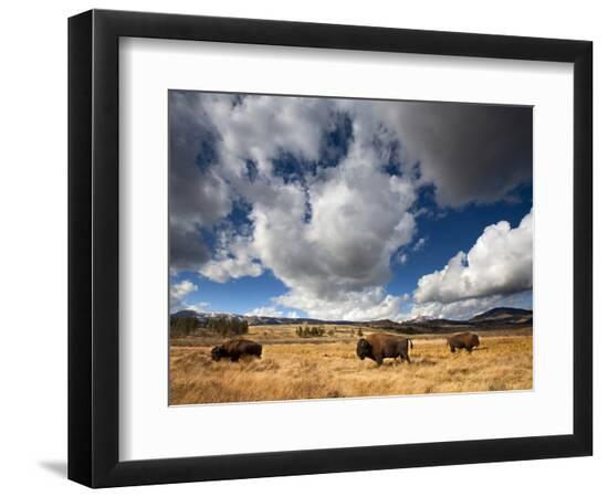 Premium Photographic Print, , large