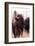 American Bison VI-Debra Van Swearingen-Framed Photographic Print