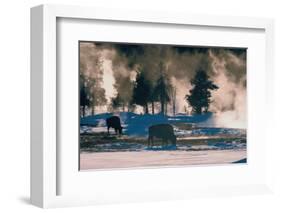 American Bison, Wyoming-Art Wolfe-Framed Giclee Print