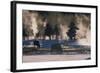 American Bison, Wyoming-Art Wolfe-Framed Art Print