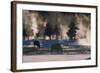 American Bison, Wyoming-Art Wolfe-Framed Art Print