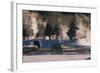 American Bison, Wyoming-Art Wolfe-Framed Art Print