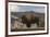 American Bison. Yellowstone National Park, Wyoming-Adam Jones-Framed Photographic Print