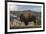 American Bison. Yellowstone National Park, Wyoming-Adam Jones-Framed Photographic Print