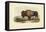 American Bison-John James Audubon-Framed Stretched Canvas