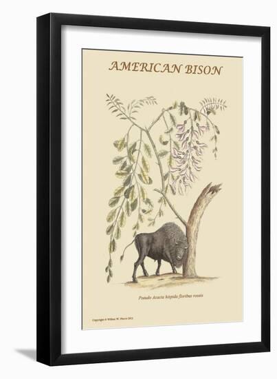 American Bison-Mark Catesby-Framed Art Print