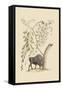 American Bison-Mark Catesby-Framed Stretched Canvas