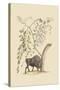 American Bison-Mark Catesby-Stretched Canvas