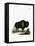 American Bison-null-Framed Stretched Canvas