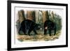 American Black Bear, 1844-John Woodhouse Audubon-Framed Giclee Print