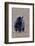 American Black Bear-Gary Carter-Framed Photographic Print