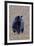 American Black Bear-Gary Carter-Framed Photographic Print