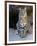 American Bobcat Portrait, Sitting in Front of Cave. Arizona, USA-Philippe Clement-Framed Premium Photographic Print