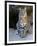 American Bobcat Portrait, Sitting in Front of Cave. Arizona, USA-Philippe Clement-Framed Premium Photographic Print
