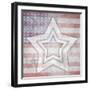 American Born Free Sign Collection V10-LightBoxJournal-Framed Giclee Print