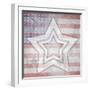 American Born Free Sign Collection V10-LightBoxJournal-Framed Giclee Print