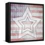 American Born Free Sign Collection V10-LightBoxJournal-Framed Stretched Canvas