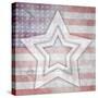 American Born Free Sign Collection V10-LightBoxJournal-Stretched Canvas