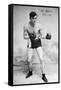 American Boxer, c1912-null-Framed Stretched Canvas