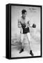 American Boxer, c1912-null-Framed Stretched Canvas