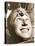 American Boyscout with a Horned Toad on His Head, Brooklyn New York C.1943-null-Stretched Canvas