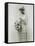 American Bride, c1925-null-Framed Stretched Canvas