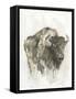 American Buffalo I-Ethan Harper-Framed Stretched Canvas