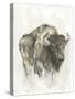 American Buffalo I-Ethan Harper-Stretched Canvas