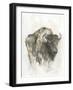 American Buffalo I-Ethan Harper-Framed Art Print