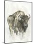 American Buffalo I-Ethan Harper-Mounted Art Print