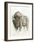 American Buffalo II-Ethan Harper-Framed Art Print