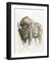 American Buffalo II-Ethan Harper-Framed Art Print