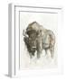 American Buffalo II-Ethan Harper-Framed Art Print