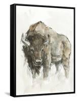 American Buffalo II-Ethan Harper-Framed Stretched Canvas