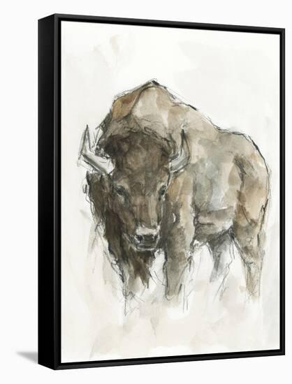 American Buffalo II-Ethan Harper-Framed Stretched Canvas