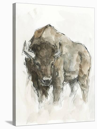 American Buffalo II-Ethan Harper-Stretched Canvas