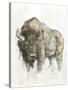 American Buffalo II-Ethan Harper-Stretched Canvas