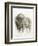 American Buffalo II-Ethan Harper-Framed Art Print